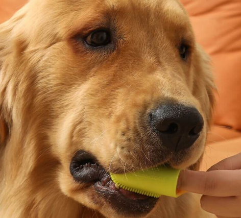 Pet Toothbrush Finger Toothbrush for Teeth Cleaning