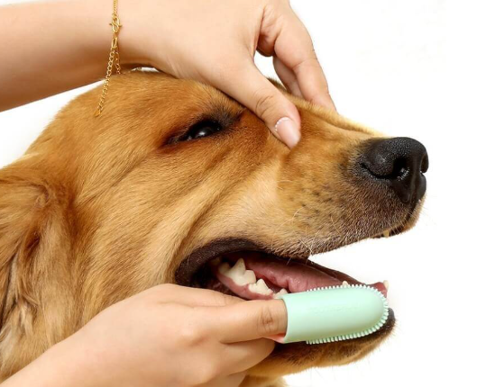 Pet Toothbrush Finger Toothbrush for Teeth Cleaning